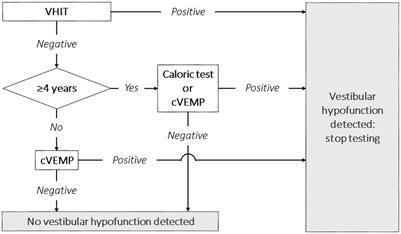 Vestibular assessment in children with sensorineural hearing loss: diagnostic accuracy and proposal for a diagnostic algorithm